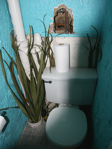 Van Gogh bathroom toilet wall texture
